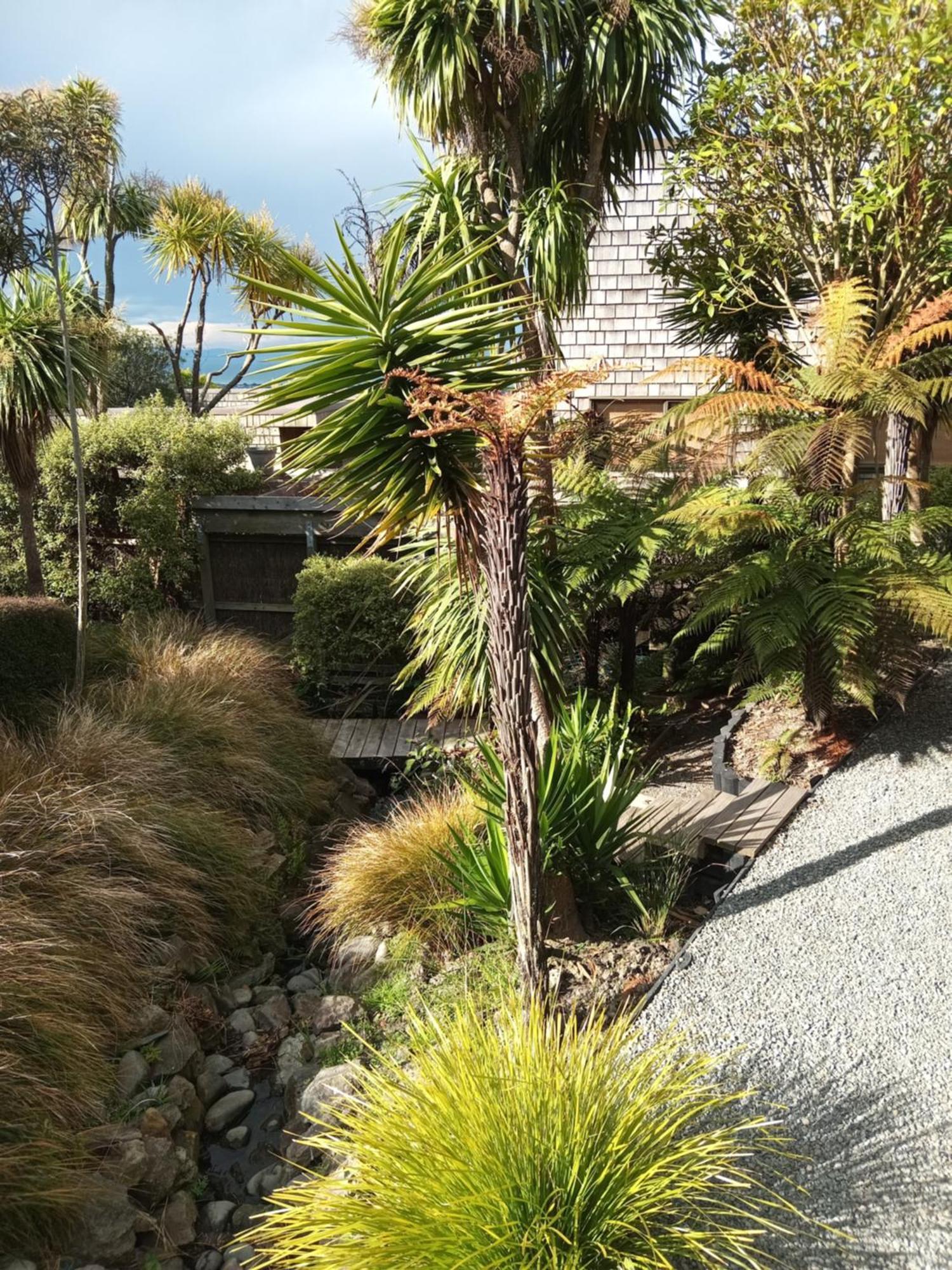 Mount Pleasant Views Lägenhet Christchurch Exteriör bild